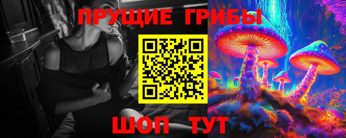 Галлюциногенные грибы Psilocybine cubensis Мценск